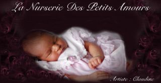 Reborn Baby Doll New  Biracial Riley Jessica Schenk