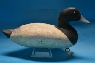 Blue Bill Duck Decoy by James Holly 1855 1935