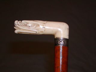 Antique Walking Stick Cane 1865 John Muir Carved Dragon Malacca Shaft Vintage  