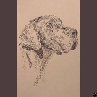 Great Dane Dog Art Kline Print 93 Drawing from Words Your Dogs Name