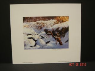 1985 Minnesota Wild Turkey Stamp Print James Killen