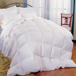 ® Arctic Weight Feather and Down Comforter Oversized King