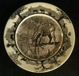 Kruger National Park Wedgwood Waterbuck 8½ inch Plate