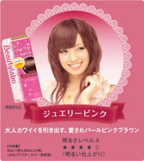 Hoyu Japan Beautylabo Hair Color Dying Kit