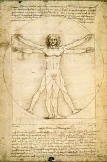 Leonardo Da Vinci Human Anatomy of Man Poster 60x90cm New