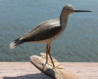 Lloyd Johnson Bay Head N J Greater Yellowlegs Decoy 1960