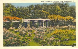 Lockport NY The Rose Gardens at Outwater Park
