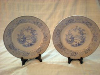 Mayer Longport England Nonpareil Dinner Plate Antique 1842 1855