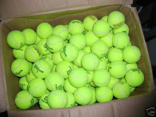 100 Used Tennis Balls Free  Dog Toys
