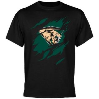 San Jose Sabercats Swoop T Shirt Black