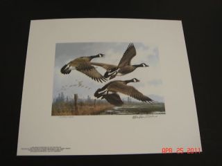 1984 Oregon Duck Stamp Print First of State Michael Sieve