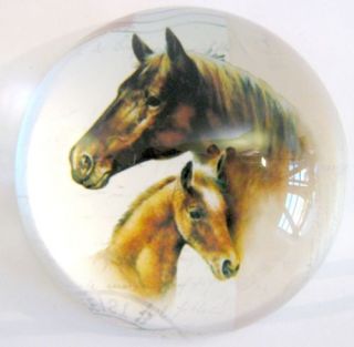 Horse Mare Foal Decorative Glass Paperweight