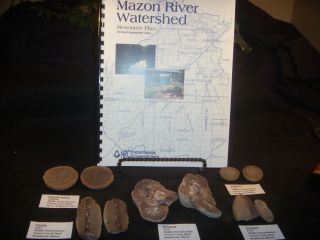 Mazon Creek Fossils 11 Piece Fossil Kit with Book
