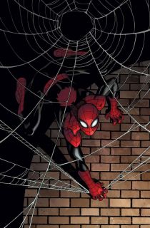 Superior Spider Man 2 1 50 McGuinness Variant Cover 1st Print