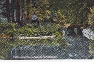 Glimpse Redwood Lodge Mill Valley CA Old Postcard