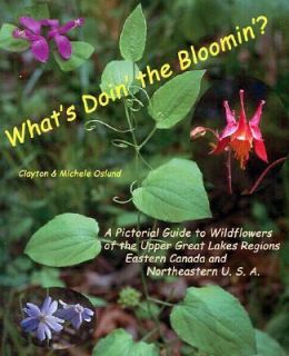 Whats Doin the Bloomin A Pictorial Guide to Wildflowers of the