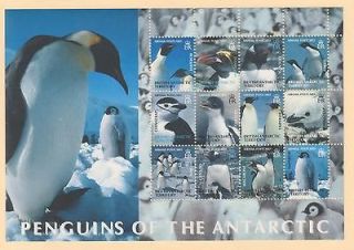 Penguins of the Antarctic  Emperor, Chinstrap, Adelie, Gentoo and
