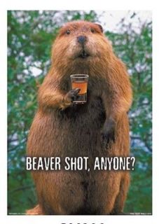Beaver Shot Anyone? Tin Sign  FUNNY NOVELTY SIGN
