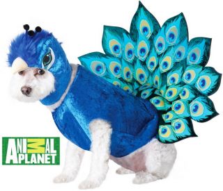 Pet Animal Planet Peacock Licensed Pet Costume