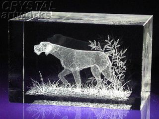 GERMAN WIREHAIRED POINTER* 3D Laser Crystal Art 15s
