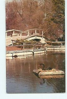 Vintage Postcard Rustic Arched Bridge Wintergreen Lake & Lagoon