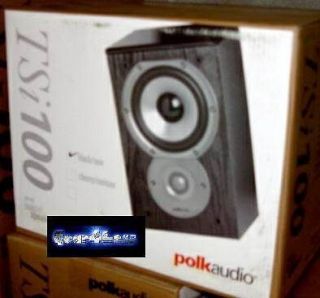 Audio TSi100 Book Shelf Theater Stereo Surround Sound Rear Speakers