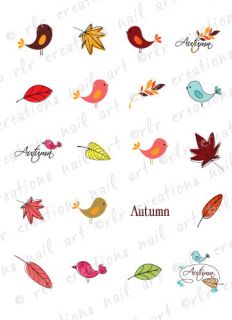 20 AUTUMN DOODLES w/ BIRDS AND LEAVES FALL WATER SLIDE NAIL ART DECALS