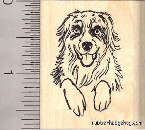 Australian Shepherd Dog rubber stamp E12105 WM Puppy