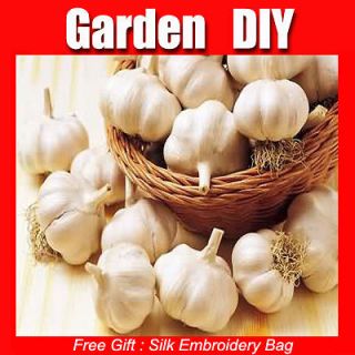 10 seeds cloves for cooking food health Garlic SS005