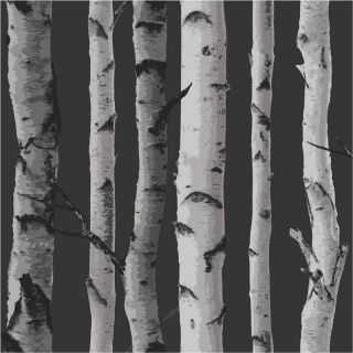 Black / Grey / Silver   FD31052   Birch Tree Forest Woods   Fine Decor
