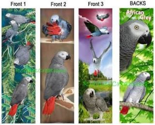 GREY PARROT BOOKMARKS Gray Pet Card Wild ART Book Mark Not Cage or Toy