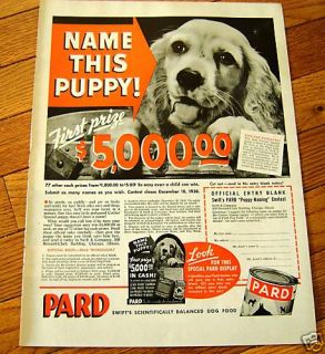 1938 Dog Food Ad Name this Cocker Spaniel Male Puppy