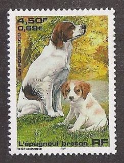 Dog Art Full Body Postage Stamp BRITTANY SPANIEL w Puppy France Native