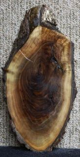 Highly Burl/Curl Figured Black Walnut Live Edge Lumber Slab/Table Top