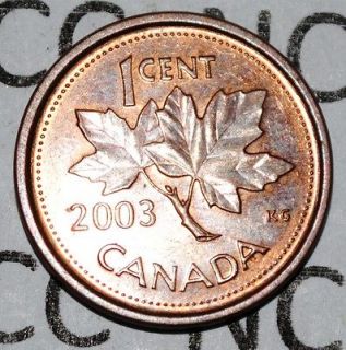 Canada 2003 P Old Effigy 1 Cent Steel One Canadian Penny Coin Magnetic