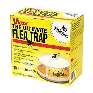 Victor New Ultimate Flea Trap, Non Poisonous & Odorless, Safe