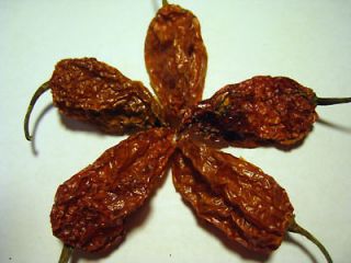 Sun Dried GHOST PEPPER Bhut Jolokia Chili Seed Pods FREE & FAST