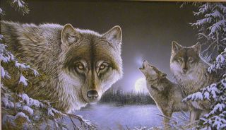 Moonlihgt Wolves Original by Sam Timm   Franed