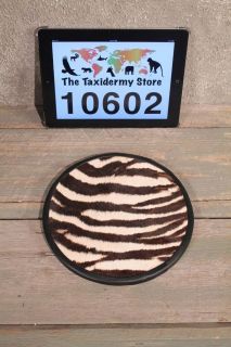 10602 Ⓖ P  Zebra Hide 9 Center Piece Accent  Leather Rug Coaster