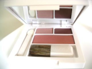 New Clinique PINK Blush and ROSEWINE Duo Powder EyeShadows Mirror