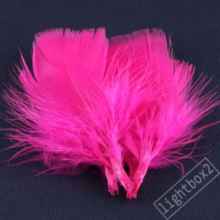 Triangle DIY Assorted Color 100pc Natural Ostrich Feathers Pick