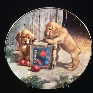 Double Take Cocker Spaniel Puppy Playtime Plate by Jim Lamb for