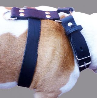 30 35 size Dog Harness Cane Corso Pitbull Rottweiler Bull Terrier