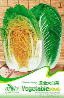Seed ★ 25 Vegetables Seed Taste Good Refreshing Crisp Organic