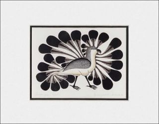 KENOJUAK ASHEVAK Native Inuit Print AUDACIOUS OWL