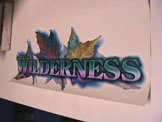 Wilderness RV Decal By Fleetwood