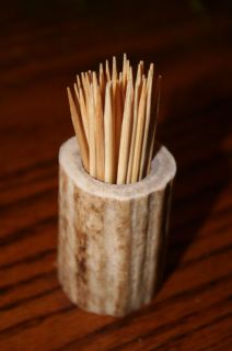 elk antler toothpick match holder table setting horn salt pepper