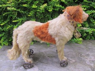  OLD GERMAN STEIFF ST BERNARD DOG ON WHEELS WITH FF BUTTON IN HIS EAR