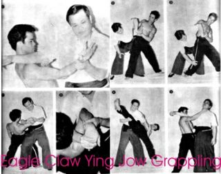 Martial Arts Wing Chun Hung Gar Choy Li Fut Tai Chi Eagle Claw Kung Fu