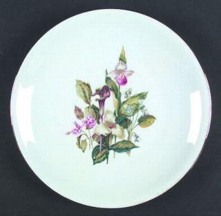 Heinrich   H&C 16637 Dinner Plate, Fine China Dinnerware   Large Flowers Ctr,  G